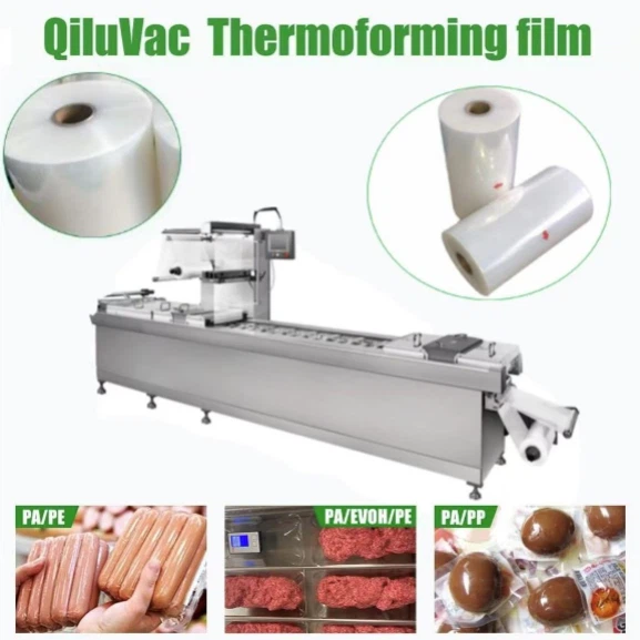 news-577-577 news-577-577